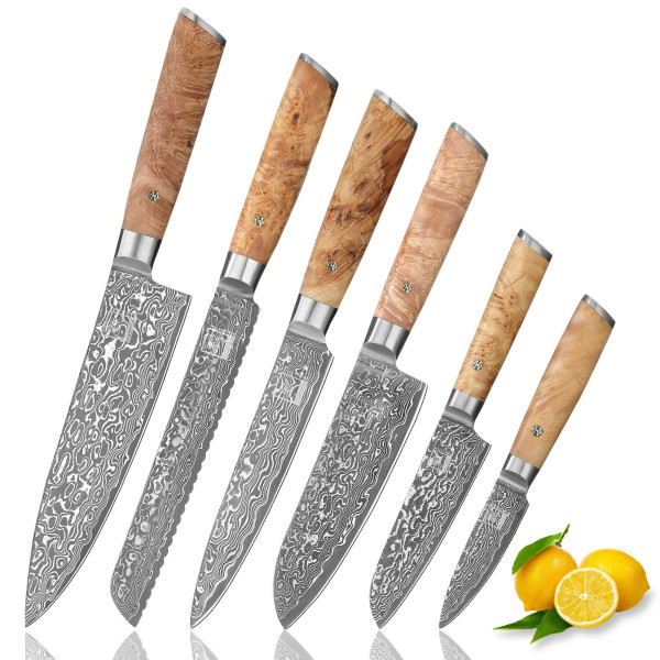 6er Damastmesser-Set I 8-20 cm Klinge aus 67 Lagen Damaststahl I Wurzelholzgriffe Birke